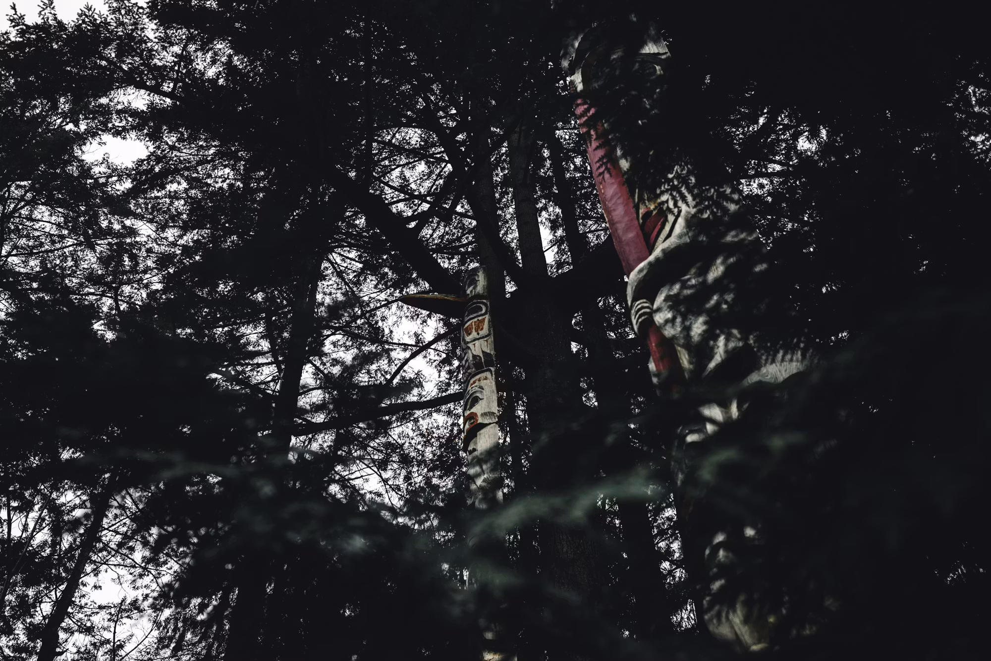Exploring the Great Outdoors: The Ultimate Guide to Camping